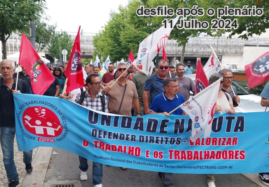 Plenareio 11 Julho1 2024