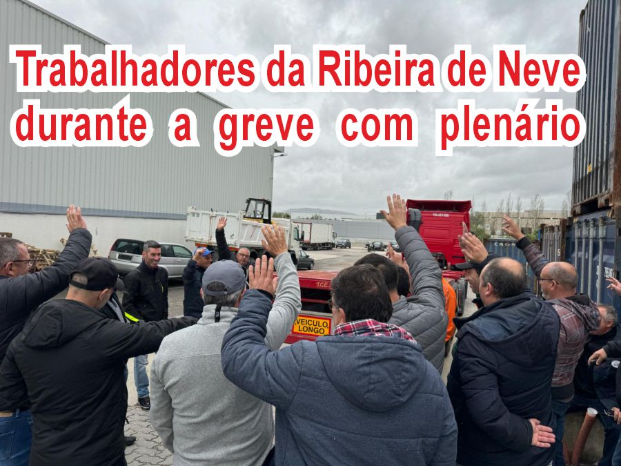 GrevePlenarioRibeiraNeve