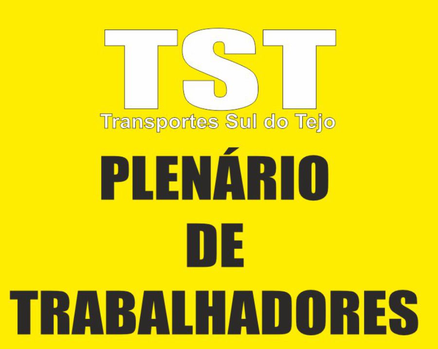 Plenario TST